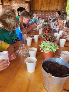 V Peterlougu pripravili 2. poletne počitnice 3